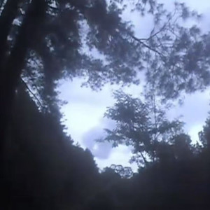 刺c - 清醒梦 (在虚无中永存)