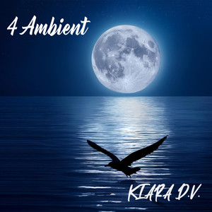 4 Ambient