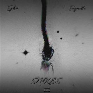 SN4KES (feat. Savyreallx) (Explicit)