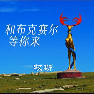 和布克赛尔等你来