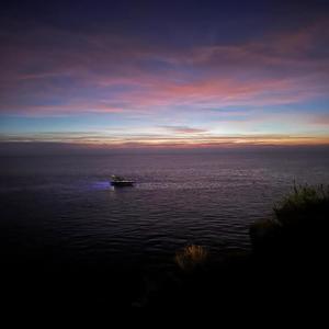 Surfing (feat. V Wescott) (Explicit)