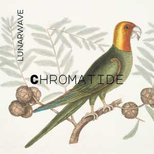 Chromatide