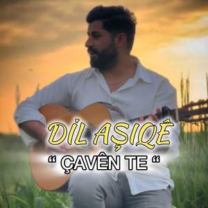 Dil aşıqê çavên te