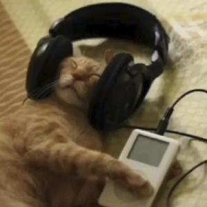 Feel My Face (Explicit)