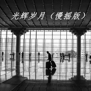 大头 - 喜欢你 (慢摇版)