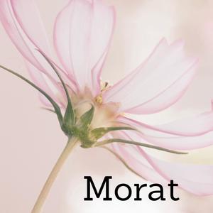 Morat (feat. Tamara Cornea)