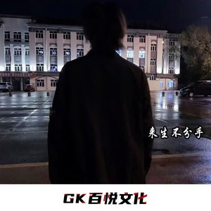 来生不做痴情人 (Remix)