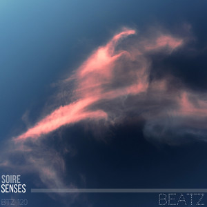Senses (Original Mix)