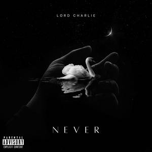 Never (Explicit)