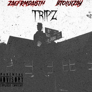 Tripz (feat. ZAEFRMDA8TH) [Explicit]