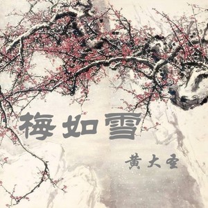 梅如雪 (Demo)