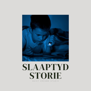 Shadow and Silica Cavities