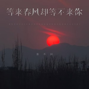 等来春风却等不来你 (伴奏)