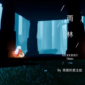 雨林封面