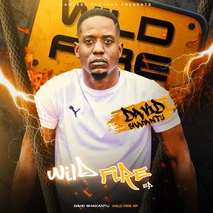 La Zone (feat. Lehandrobeatz) (Explicit)