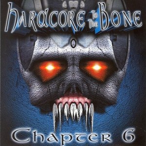 Hardcore to the Bone, Vol. 6 (Explicit)