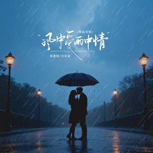 风中爱雨中情