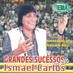 Grandes Sucessos ao Vivo