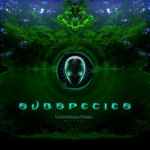 Connect (Original Mix)