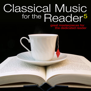 Piano Concerto No. 25 in C Major, K. 503: II. Andante (C大调第25号钢琴协奏曲，作品第503：第二乐章 行板)