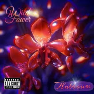 Wild Flower (Explicit)