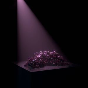 Я существую (prod. by hima)