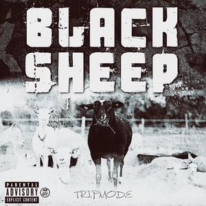 Black Sheep (Explicit)