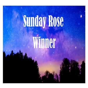 WINNER(feat. The Band GYPSY BLUE)