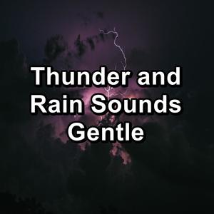 Nature Sounds Artists - Gentle Rain For Quiet Nights To Repeat for 24 Hours