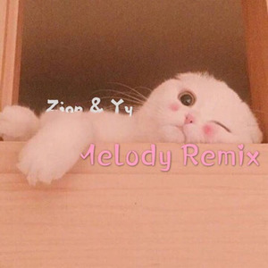 吴海啸-Melody Remix (Zion / yy remix)