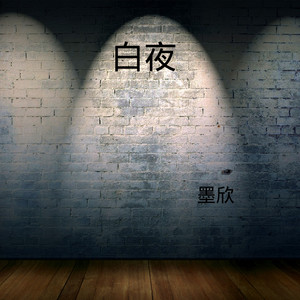 斑马斑马 (Remix)