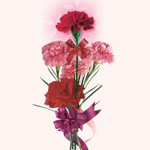 《二十一年》 (钢琴版)