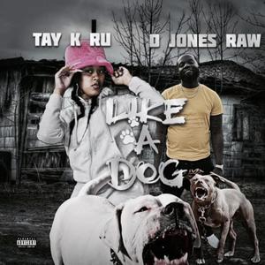 Like A Dog (feat. D Jones Raw) [Explicit]