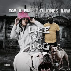 Like A Dog (feat. D Jones Raw) (Explicit)