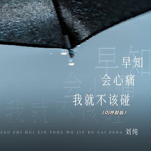 早知会心痛我就不该碰-刘纯