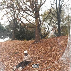SPOSED2 (feat. MiKelangelo) (Explicit)
