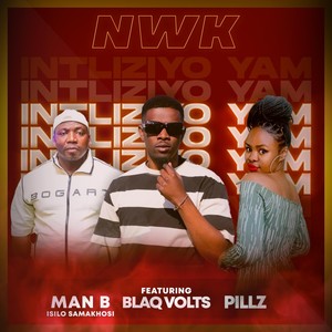Intliziyo Yami (feat. Pillz & Man B Isilo Samakhosi)