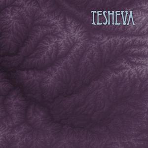 The Tesheva