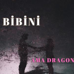 BIBINI