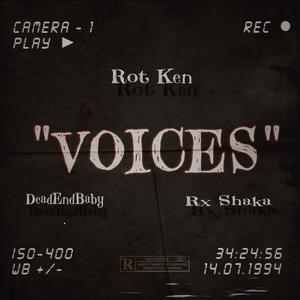 Voices (feat. Rot Ken & DeadEndBaby) (Explicit)
