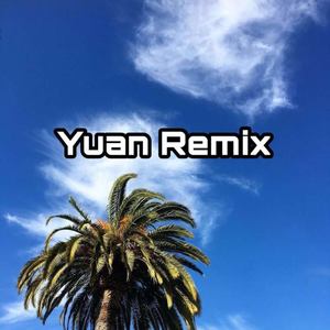 No Promises (Shnaps Remix)