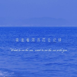 夜里看海浪花会记得