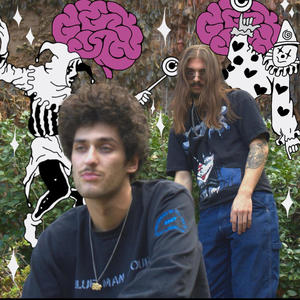 Brains Looks Wildcard (Explicit)