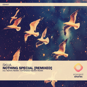 Skua - Nothing Special (Extended Neava Remix)