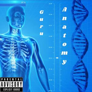 Anatomy (Explicit)