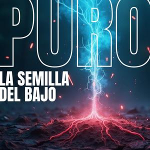 La Semilla del Bajo