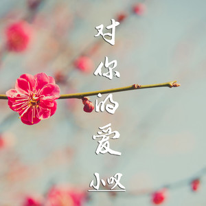 对你的爱
