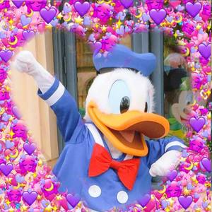 Flower Forever (Prod by Ljx Ghost)