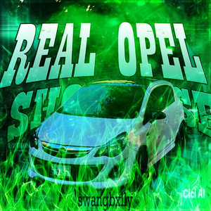 REAL OPEL SHOWCASE