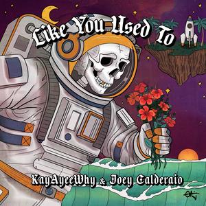 Like You Used To (feat. Joey Calderaio)